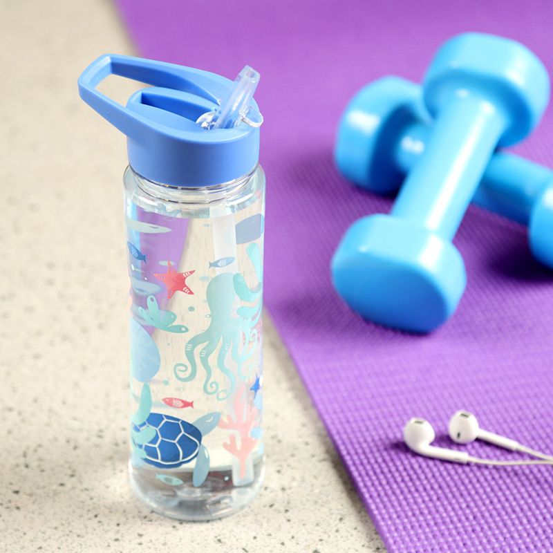 Puckator Reusable 550ml water jug with Flip straw – Sealife