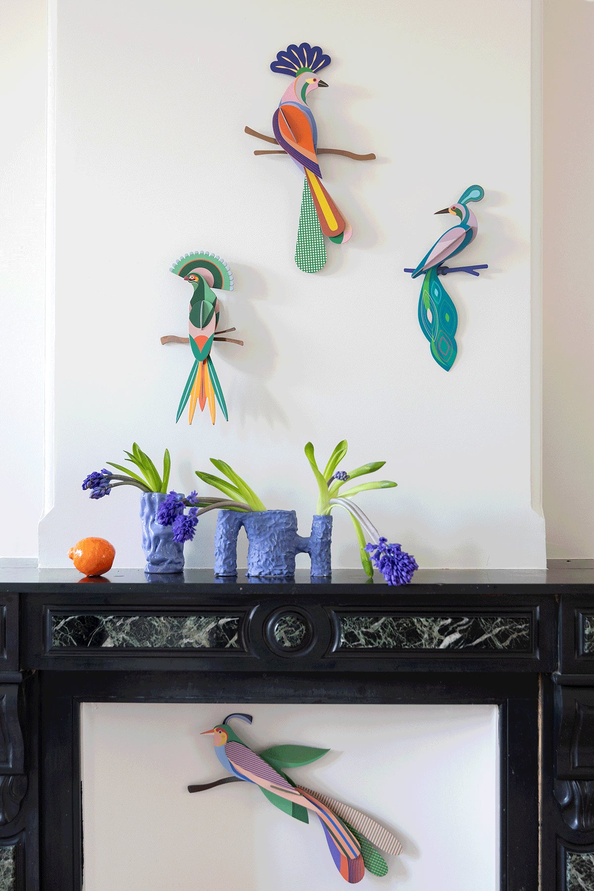 Studio ROOF Birds- Paradise Bird, Fiji