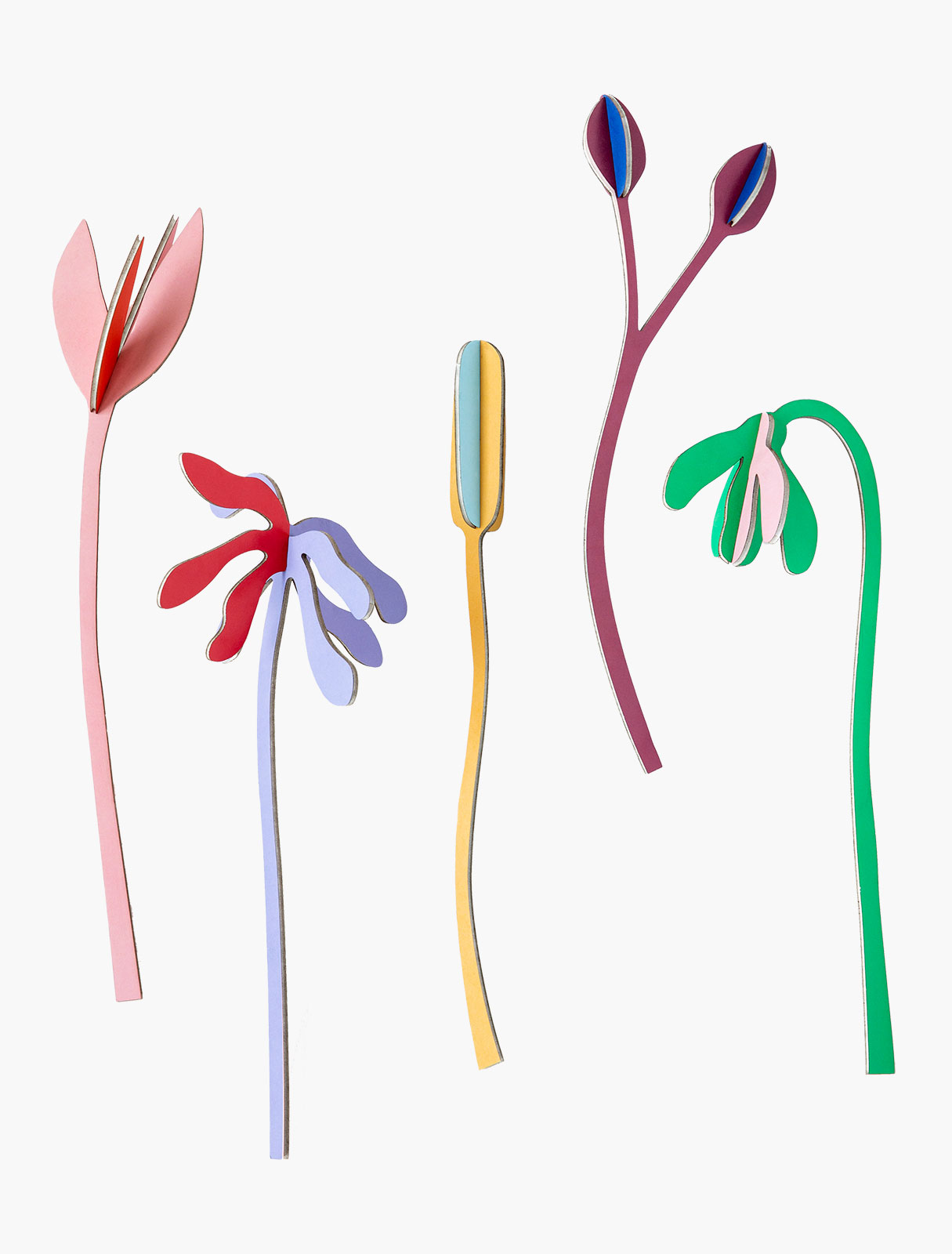 Studio ROOF Floral Art, Juliet’s field