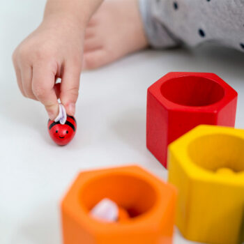 PlanToys Wooden Beehives