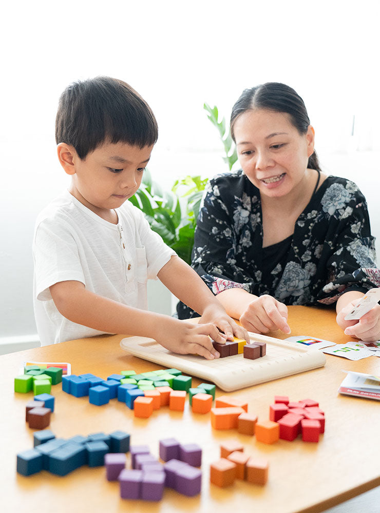 PlanToys 100 wooden counting cubes 