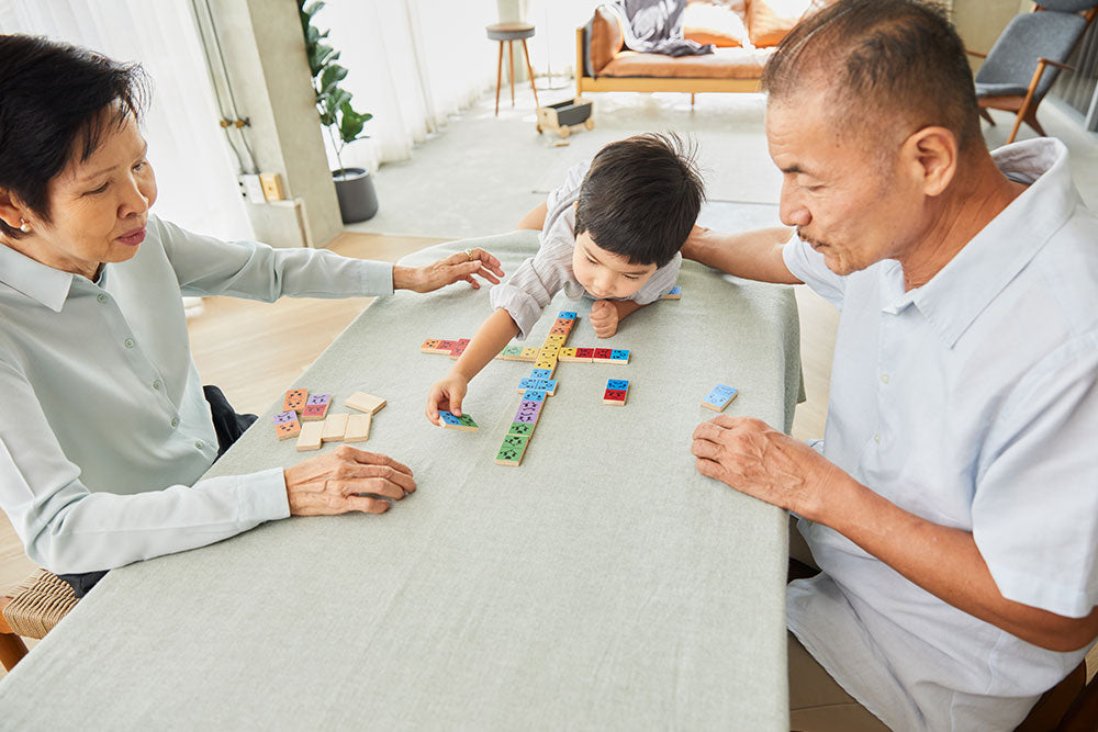 PlanToys Dominoes with emotions Wooden 