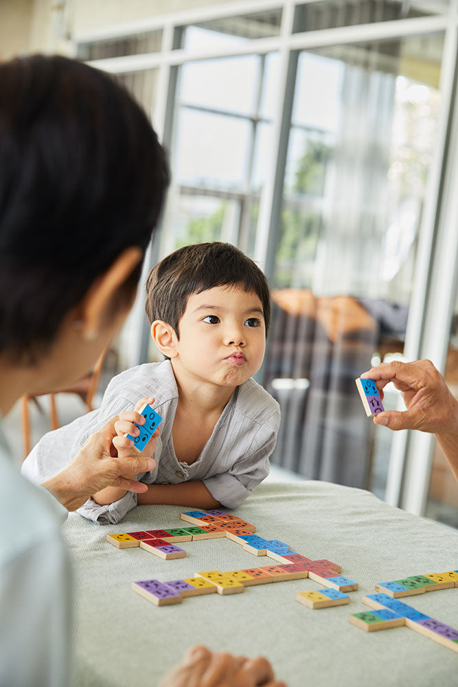 PlanToys Dominoes with emotions Wooden 