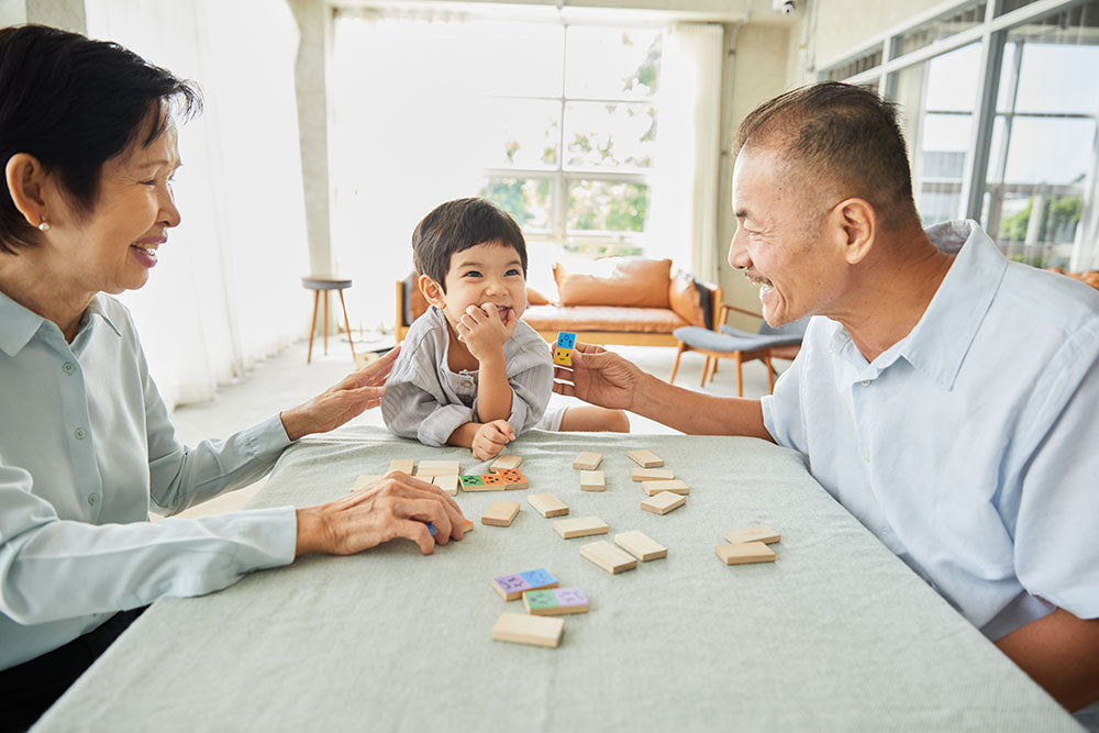 PlanToys Dominoes with emotions Wooden 