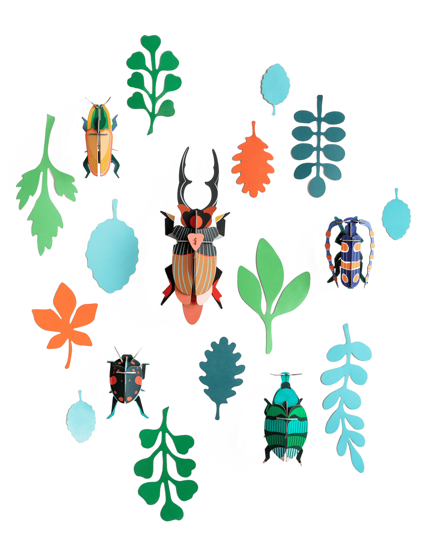 Studio ROOF Wall of Curiosities, Beetle Antiquary