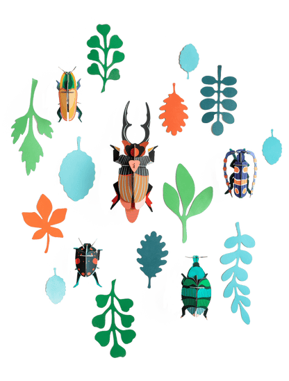 Studio ROOF Wall of Curiosities, Beetle Antiquary