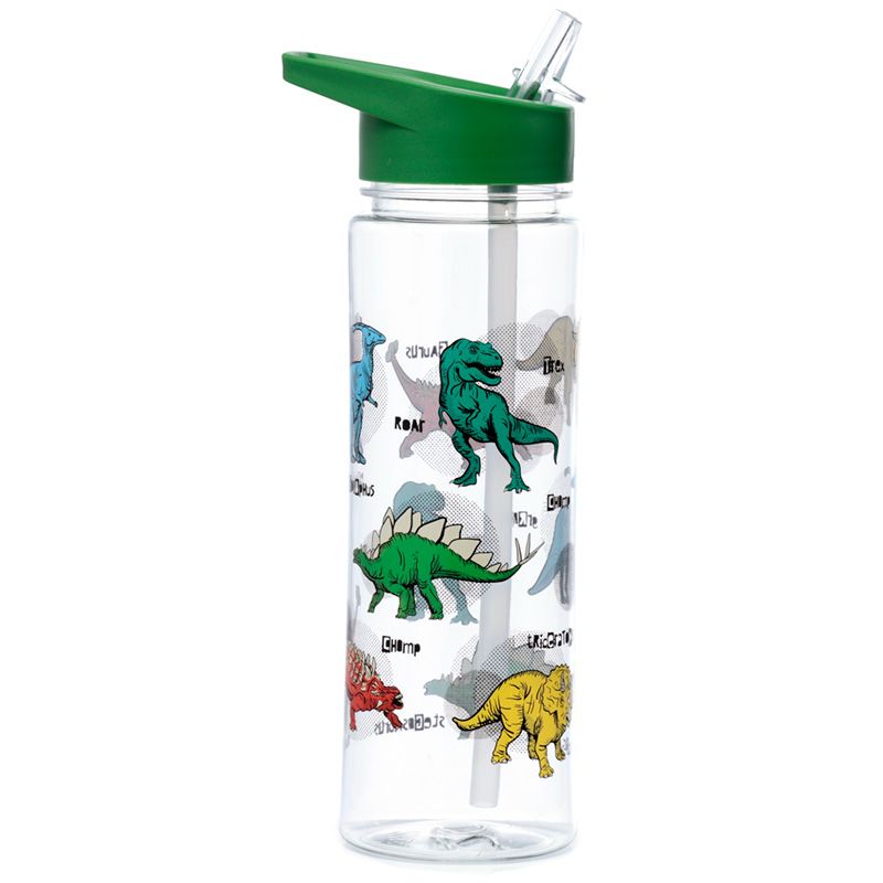 Puckator Reusable 550ml Water Bottle with Flip Straw – Dinosauria