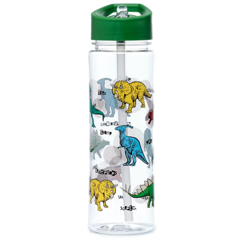 Puckator Reusable 550ml Water Bottle with Flip Straw – Dinosauria