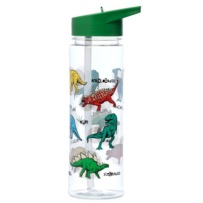 Puckator Reusable 550ml Water Bottle with Flip Straw – Dinosauria