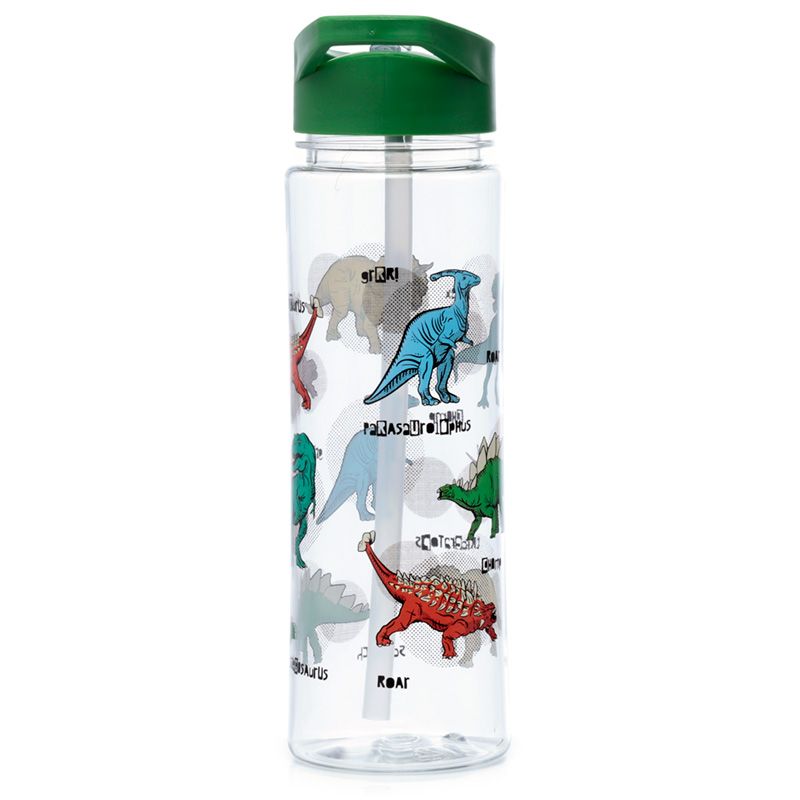 Puckator Reusable 550ml Water Bottle with Flip Straw – Dinosauria