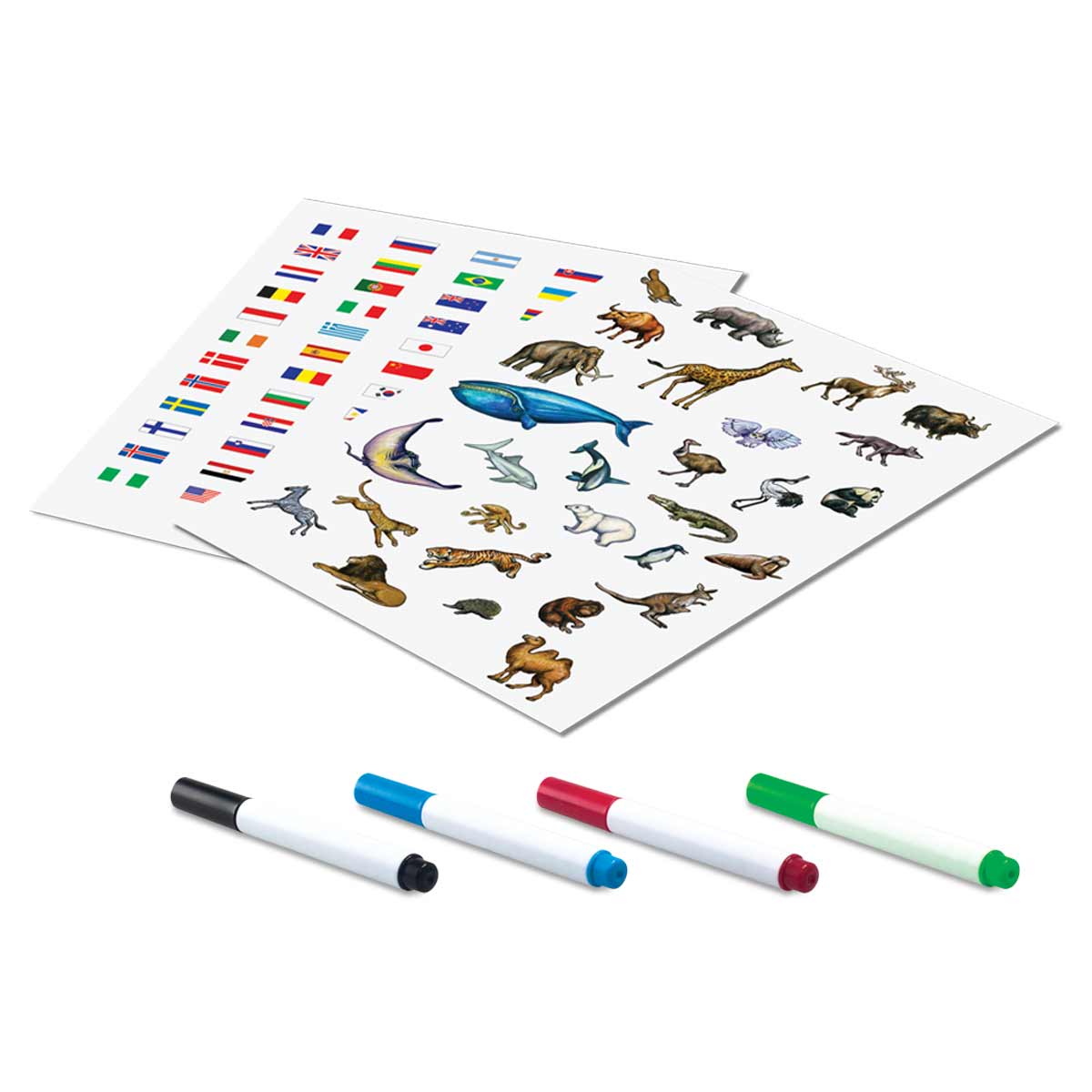 Edu-Toys Color the Earth with extra Stickers