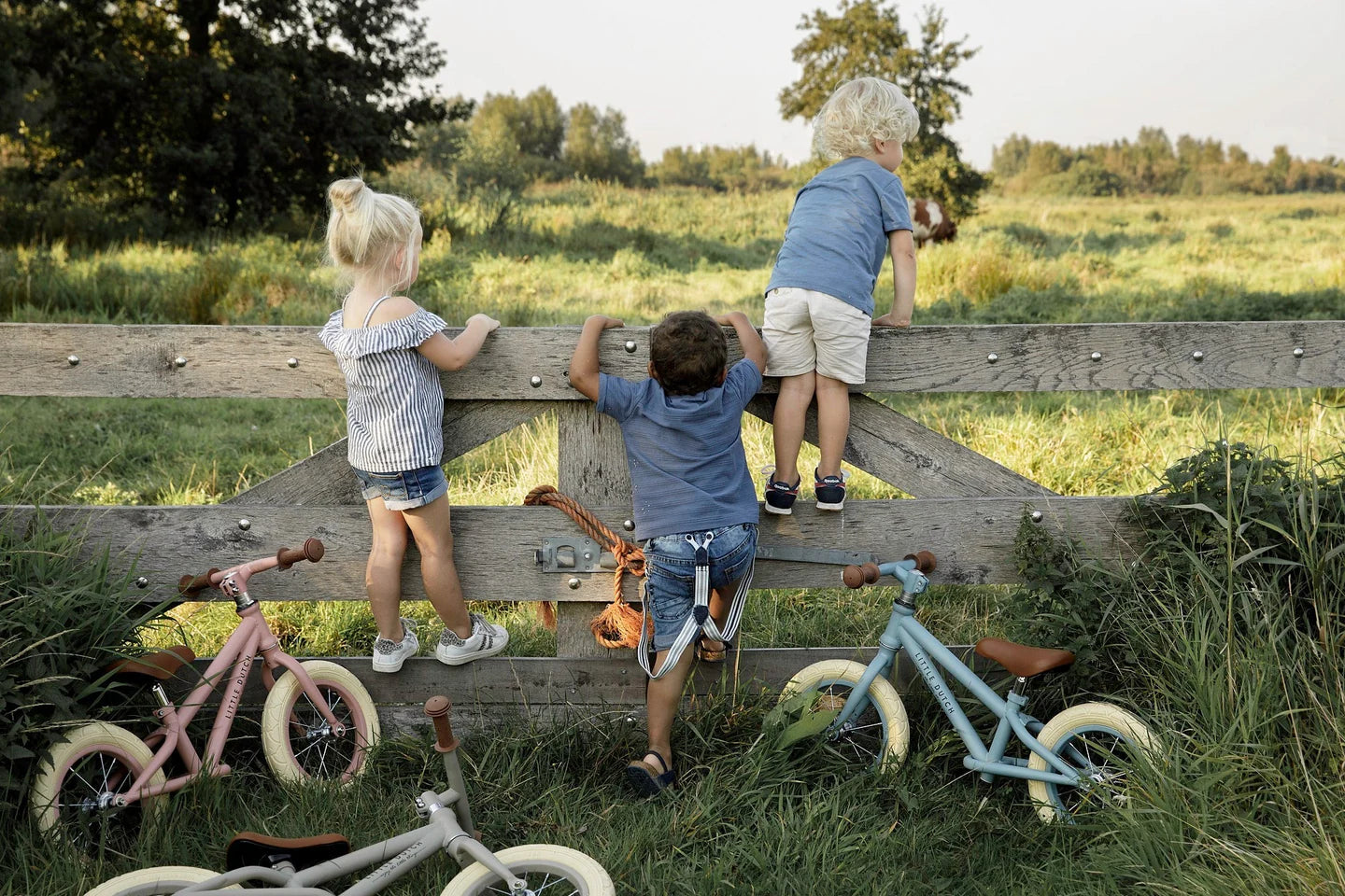 Little Dutch Metal Balance Bike (Pink)