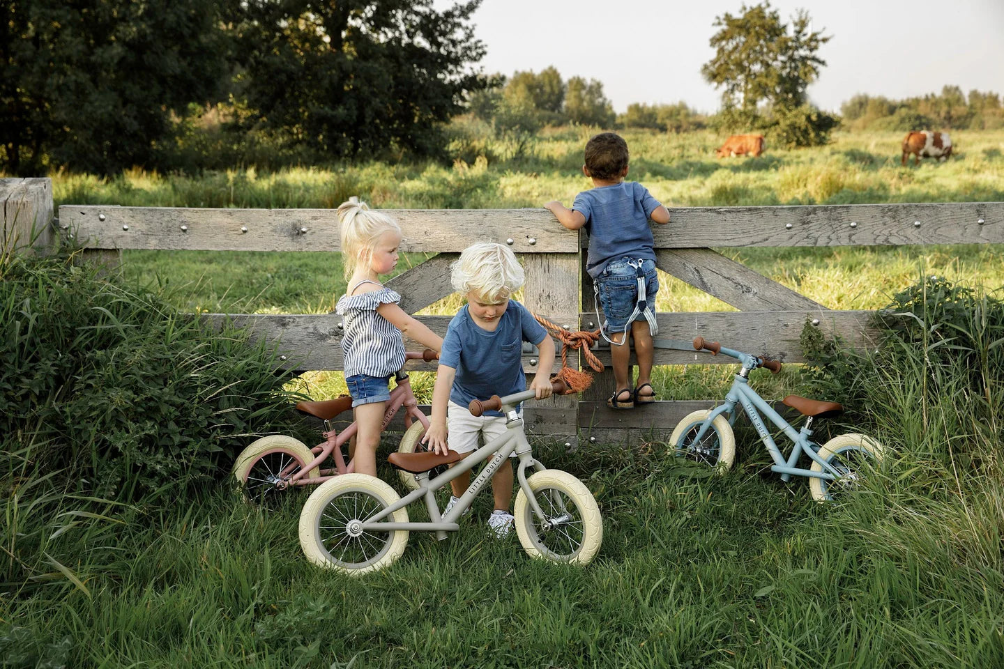 Little Dutch Metal Balance Bike (Pink)