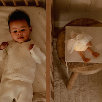 Little Dutch Υφασμάτινη χήνα με φωτισμό, λευκούς ήχους & μουσική - επαναφορτιζόμενη