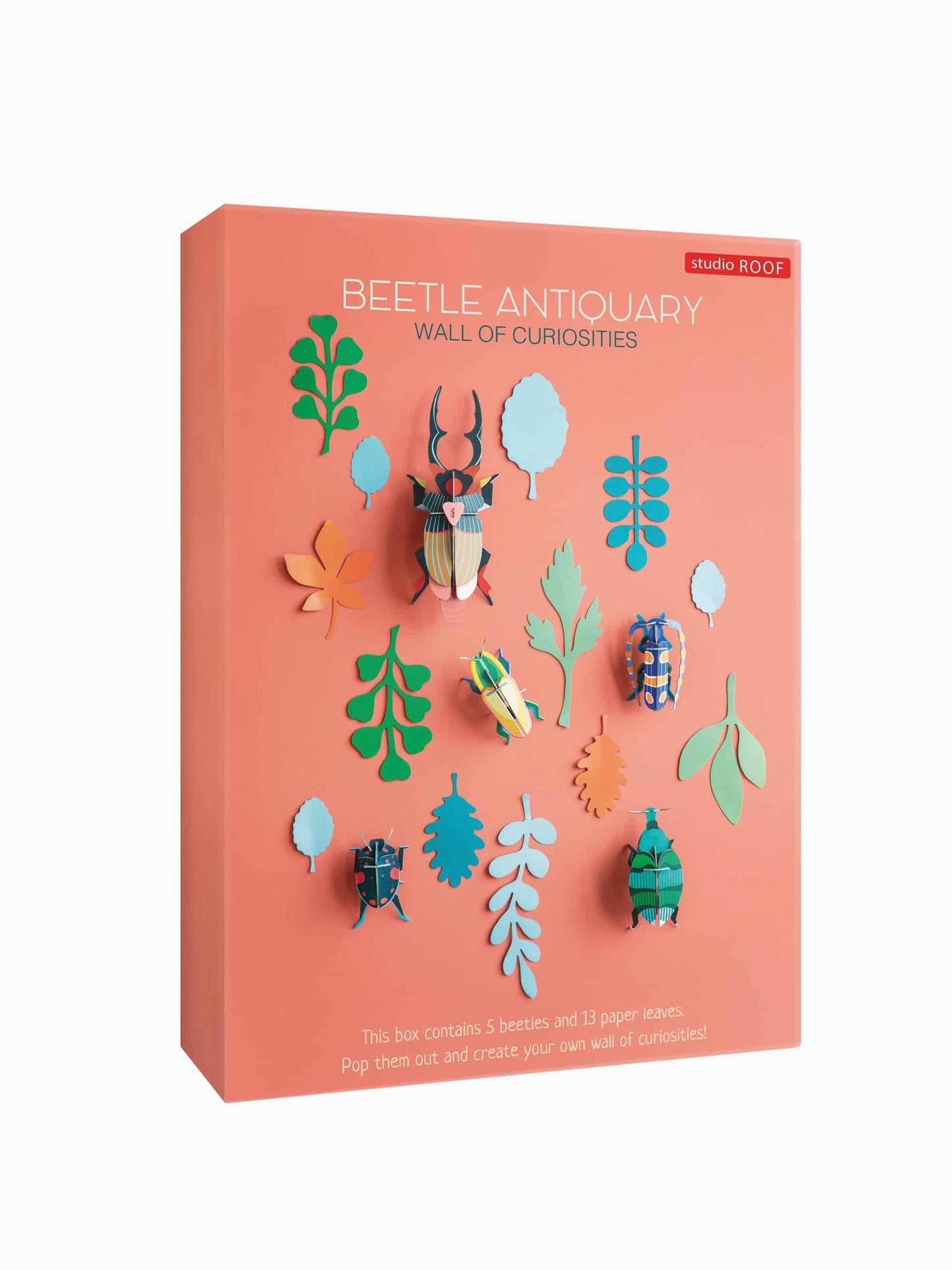 Studio ROOF Wall of Curiosities, Beetle Antiquary