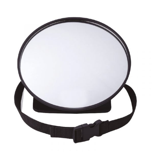 Babywise mirror for inverted child seat