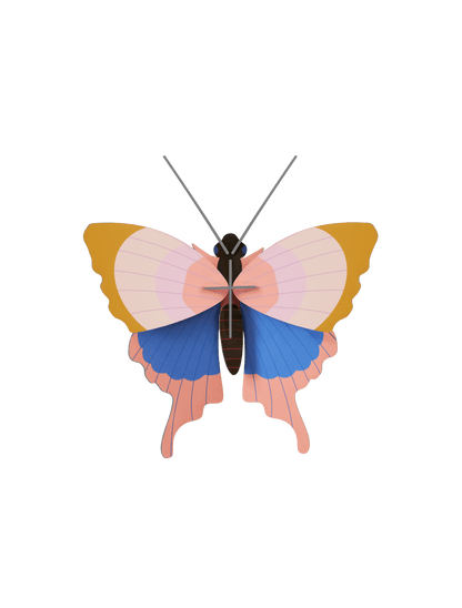 Studio ROOF Butterflies- Gold Rim Butterfly