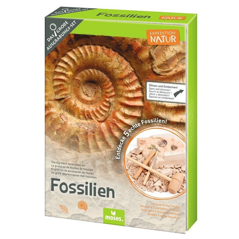 Moses. *NP*Expedition Nature The large fossil excavation set