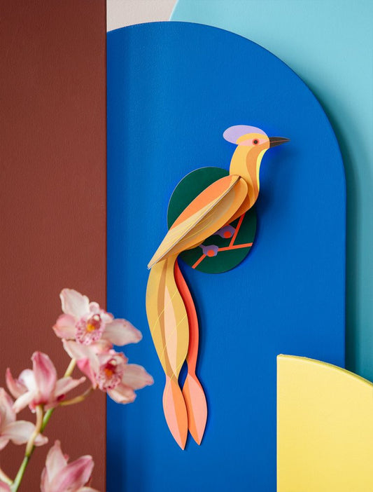 Studio ROOF Wall decoration, paradise bird, olango - papercraft