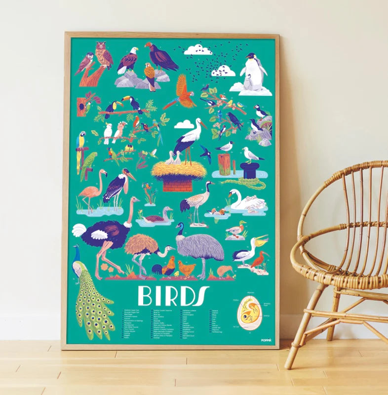 Poppik Large Poster with 45 stickers - Birds