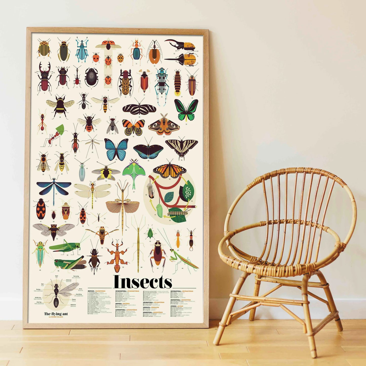 Poppik Large Poster with 44 stickers – Insects