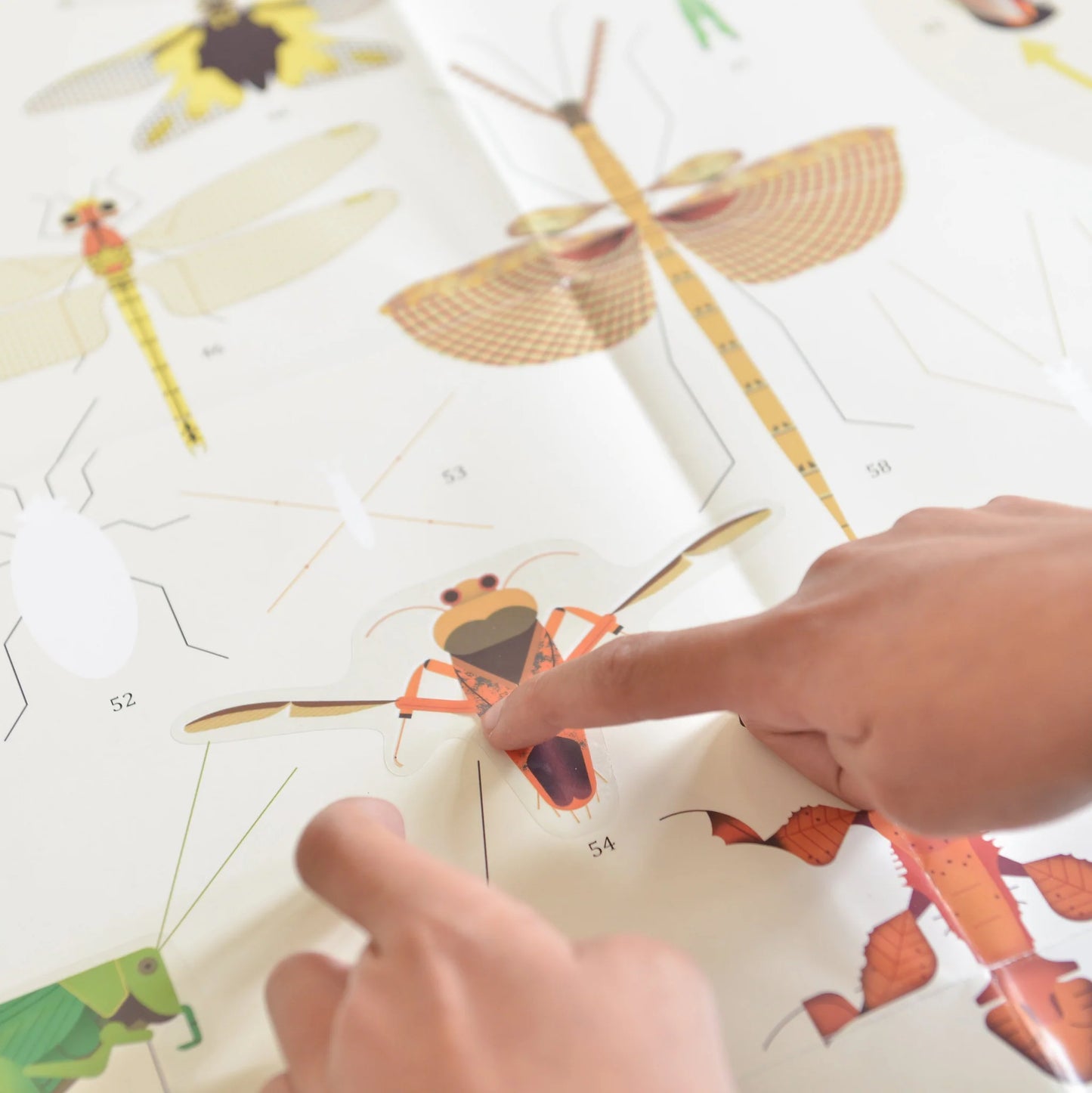 Poppik Large Poster with 44 stickers – Insects