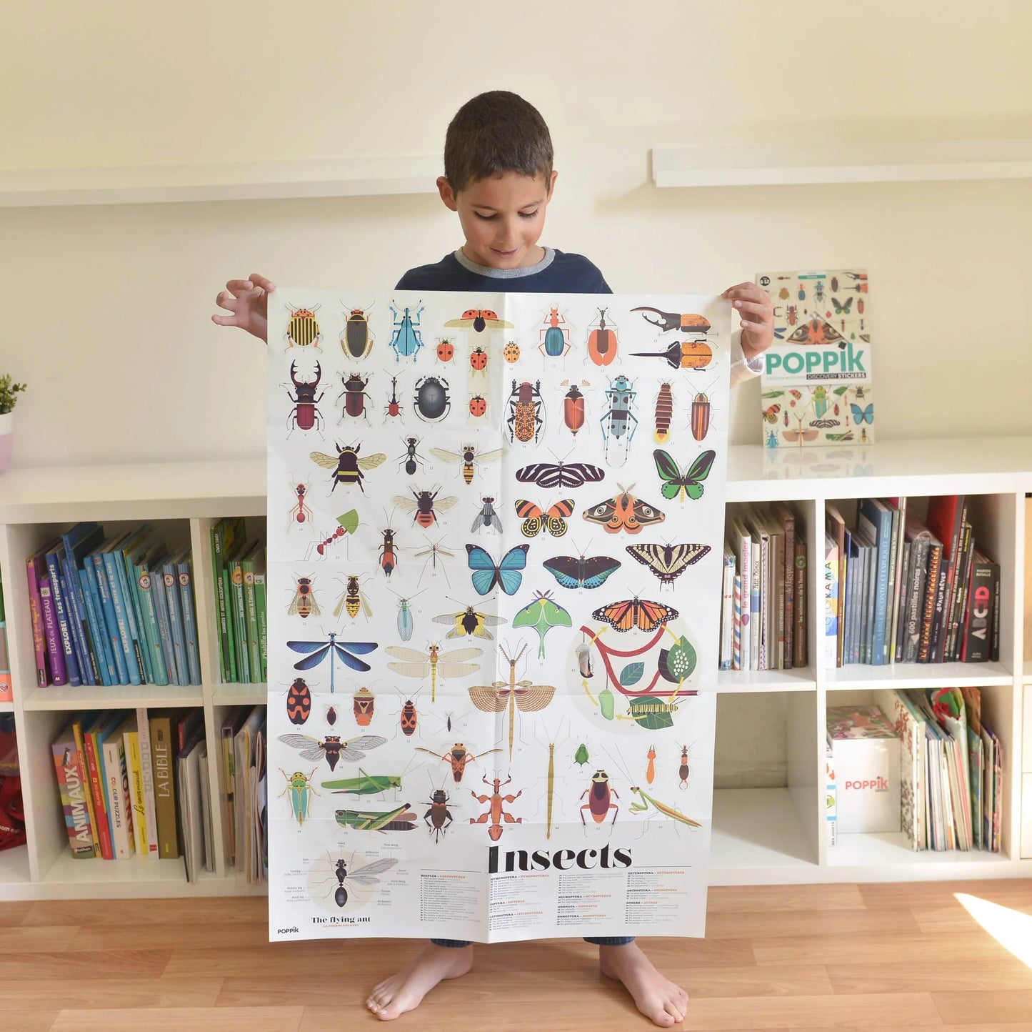 Poppik Large Poster with 44 stickers – Insects