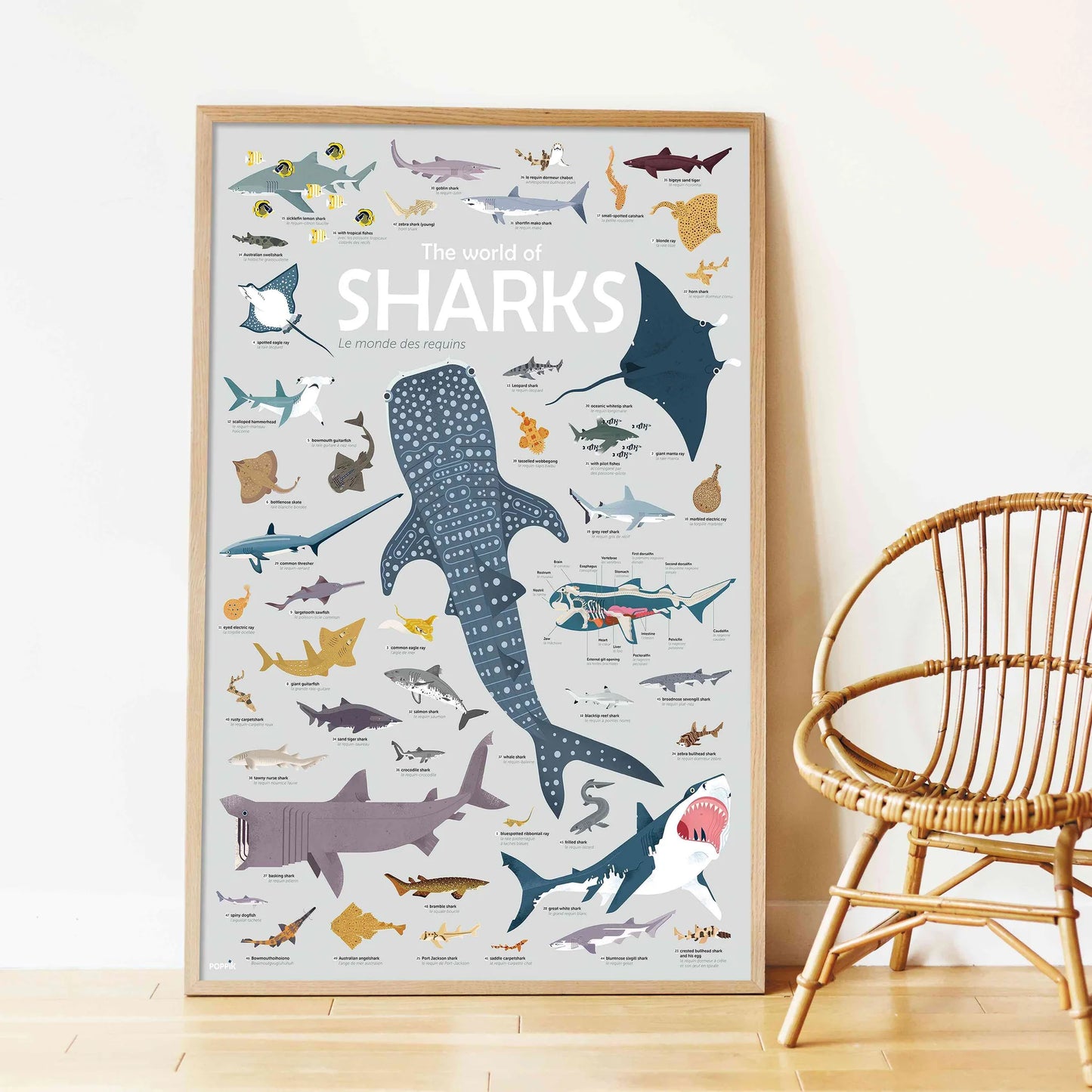 Poppik Large Poster with 45 stickers – Sharks