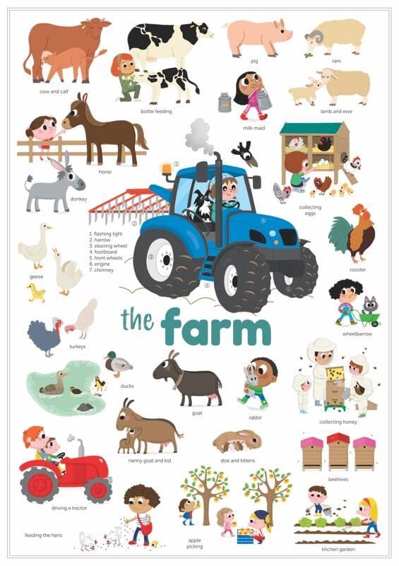 Poppik Mini Poster with 29 Stickers – Farm