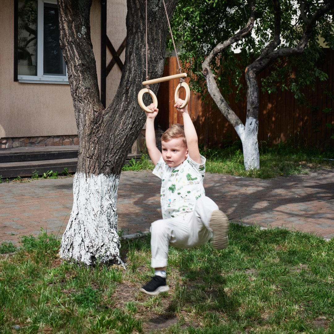 Aerobic swing with rings