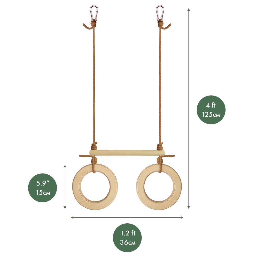 Aerobic swing with rings